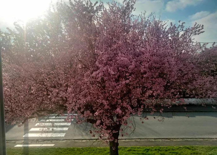 Holiday home Pretty Poppy Albert